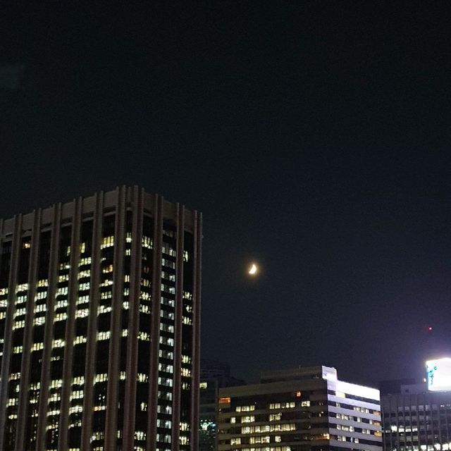 경복궁 야간개장 세젤예