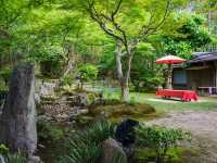 高台寺で優雅な竹林を満喫