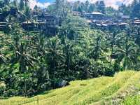 Hiking around Tegallalang Rice Terraces