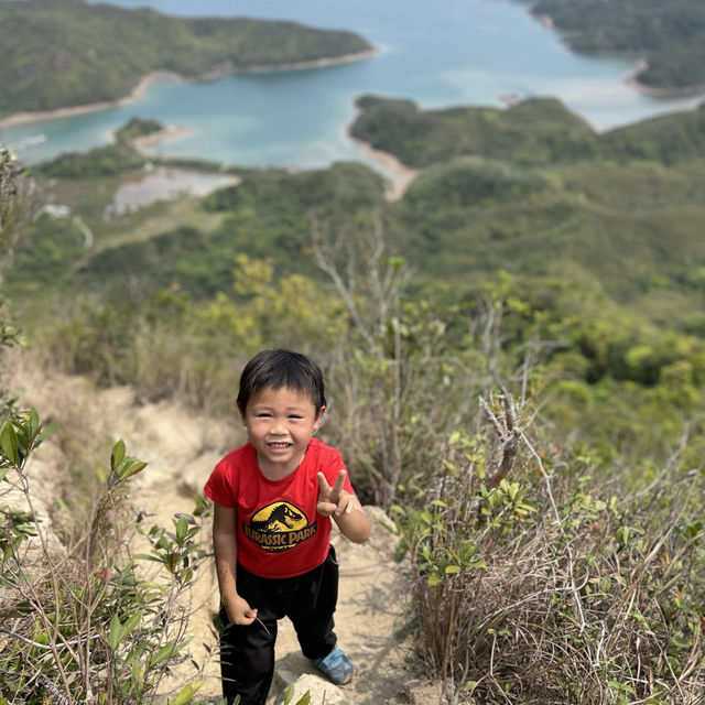 吊燈籠行山