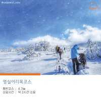 [초보도 가능한  한라산 등산코스]