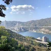 山頂上的超靚景觀 好像飛上天空一般的樹上千秋