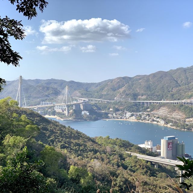 山頂上的超靚景觀 好像飛上天空一般的樹上千秋