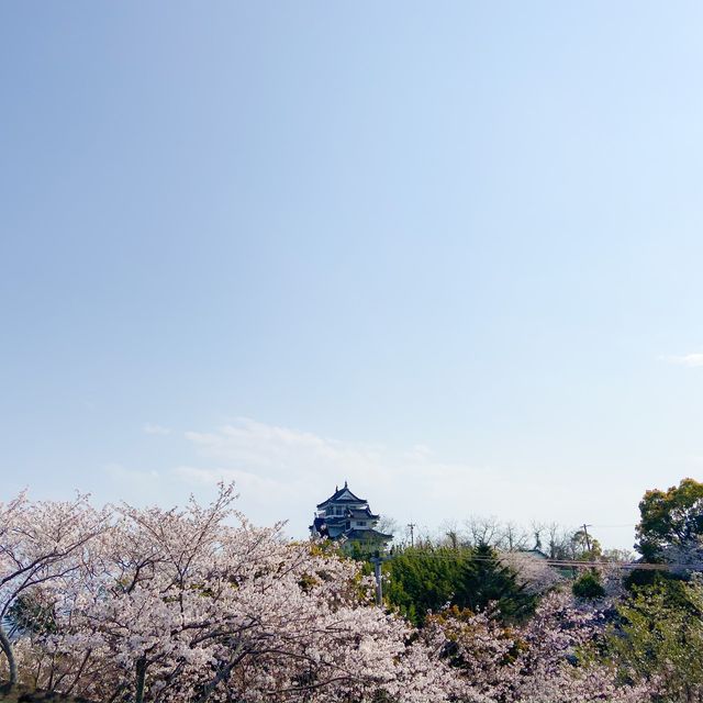 【徳島】撫養城でお花見