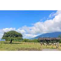 Baluran National Park