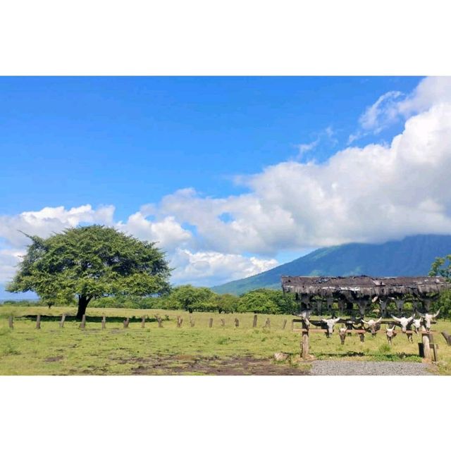 Baluran National Park