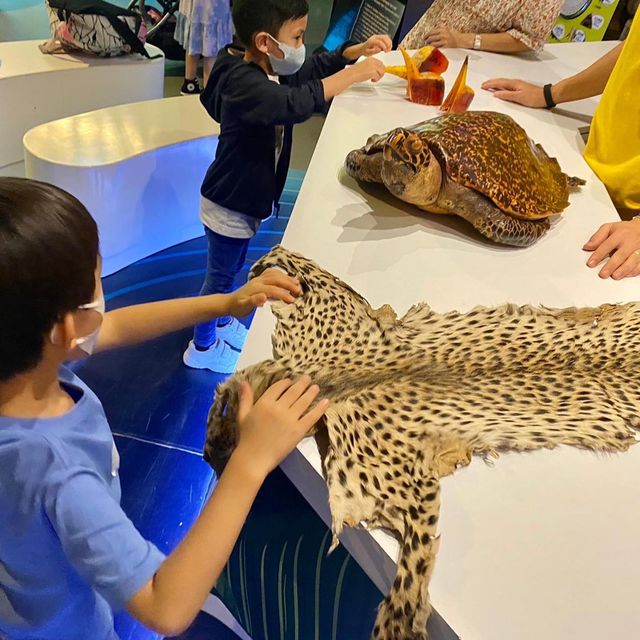 到香港挪亞方舟來一趟亞馬遜森林的僞旅行