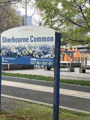 Sherbourne Common