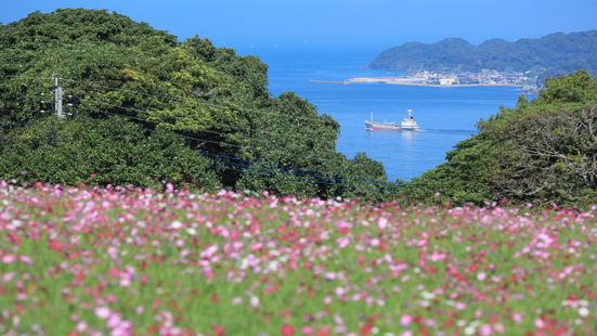 能古岛是福冈博多湾外沿的一个小岛，从侄浜码头出发仅十分钟的船