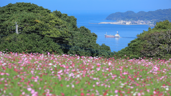 能古島是福岡博多灣外沿的一個小島，從侄浜碼頭出發僅十分鐘的船