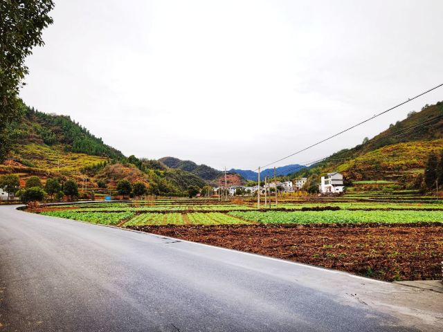 친촨촌