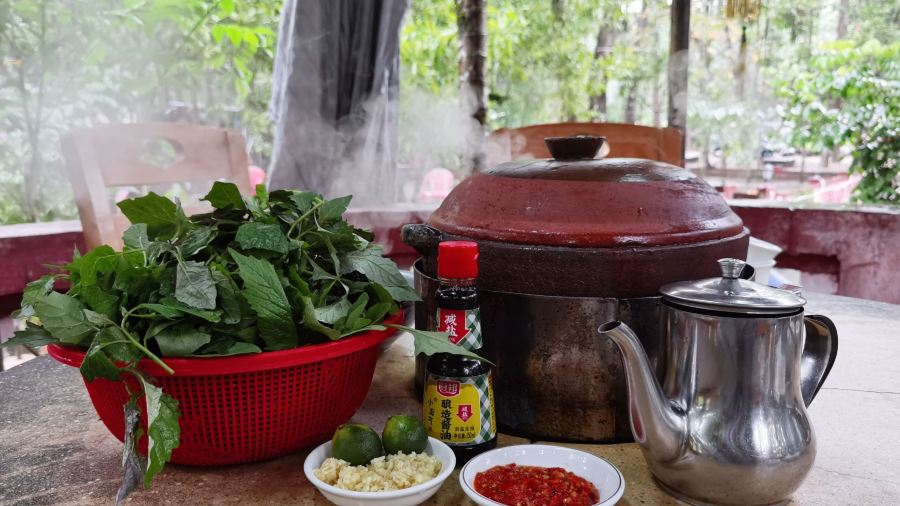 屯昌县枫木镇枫木香草鸭店