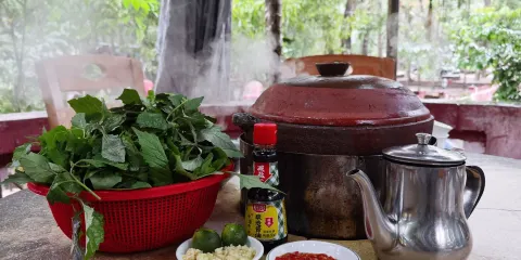 屯昌縣楓木鎮楓木香草鴨店