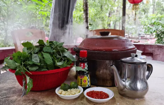 屯昌縣楓木鎮楓木香草鴨店