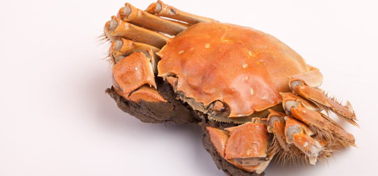 缅甸辣螃蟹(龙翔路店)