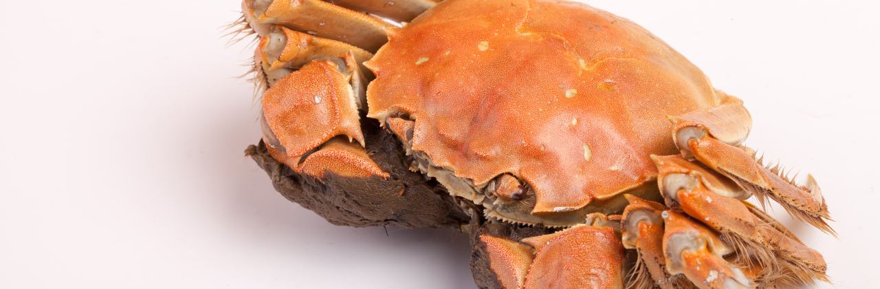 缅甸辣螃蟹(龙翔路店)