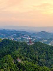 太極森林公園