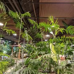 欧景生态苑(石家庄机场店) User Photo