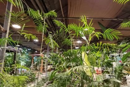 欧景生态苑(石家庄机场店)