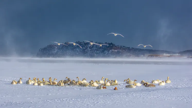 Апартаменты в г. Какамега