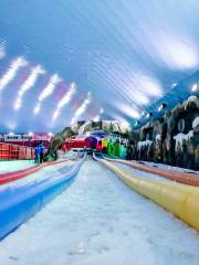 Fancy Ice Park