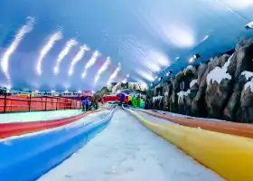 Fancy Ice Park