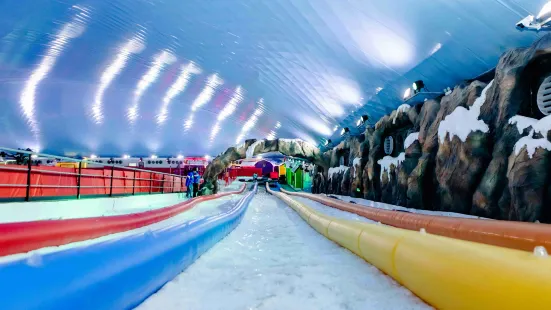 Fancy Ice Park