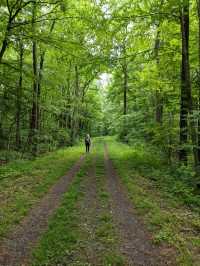the best hikes in the u.s[maine to CA]