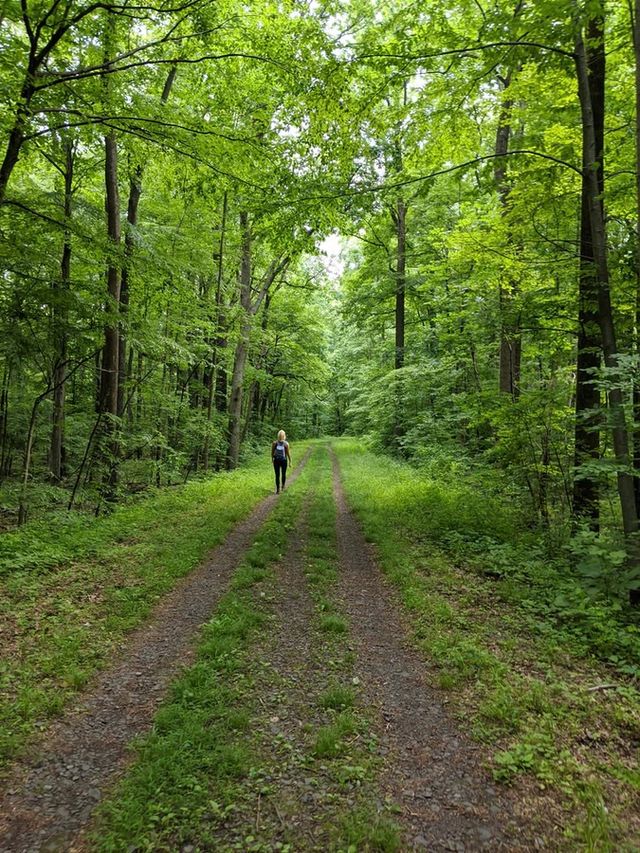 the best hikes in the u.s[maine to CA]
