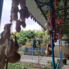悠悠乐农家 User Photo