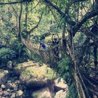 Living Root Bridge