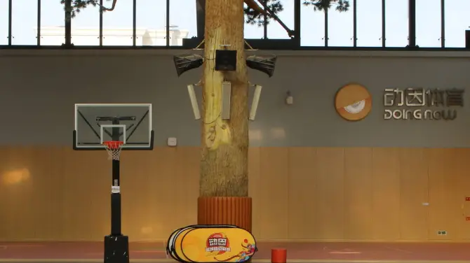 動因運動空間籃球館