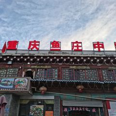 重庆鱼庄 User Photo