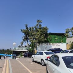 Jintang Banshan Guishu Restaurant User Photo