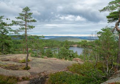 Umea