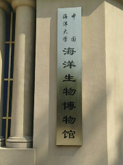 Zhongguo Haiyang Daxue Haiyangsheng Museum