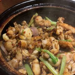 Hal's Drive In 여행 사진