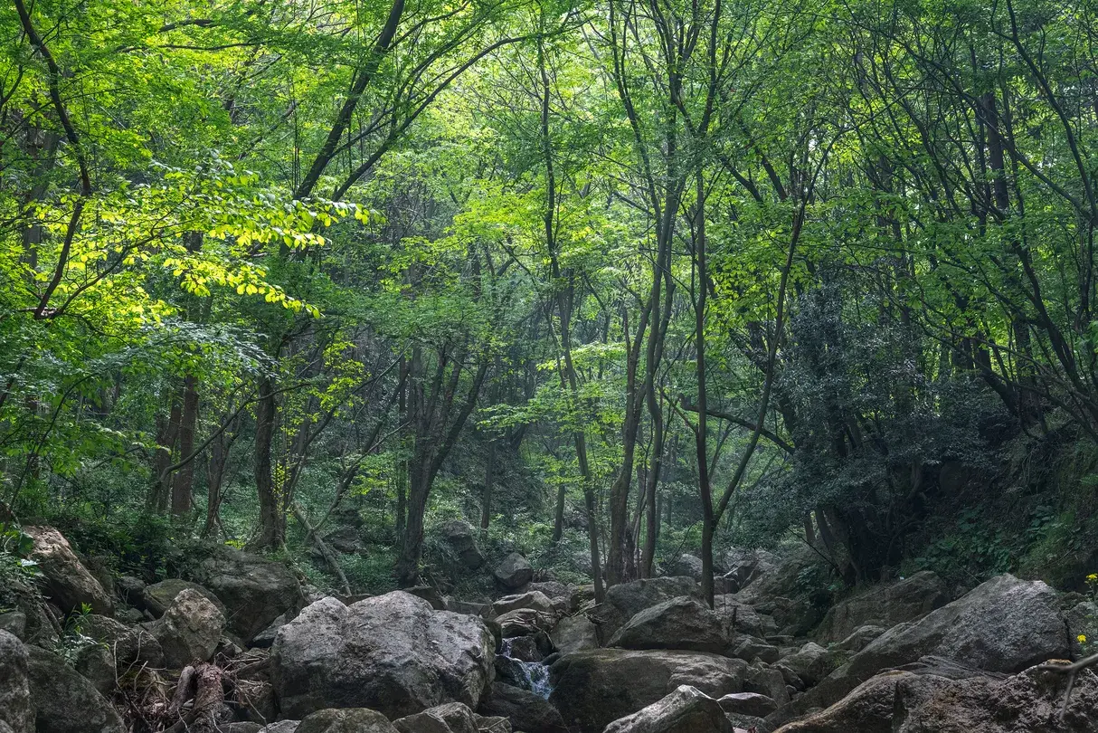 5_高貴三潭風景區