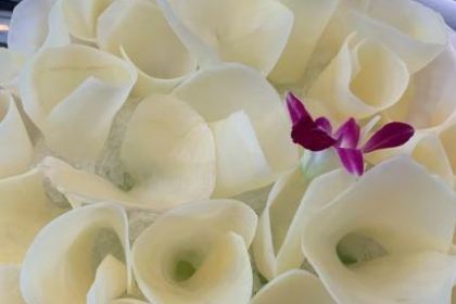 鲜道幸福里(重庆路店)