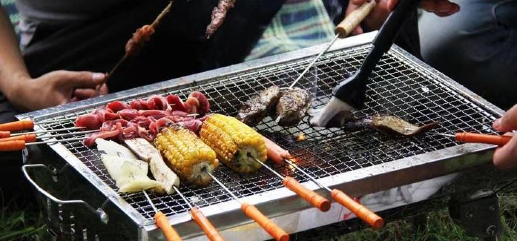 泰宝酒店(灯塔盆地店)·泰宝生态湖·木屋烧烤场