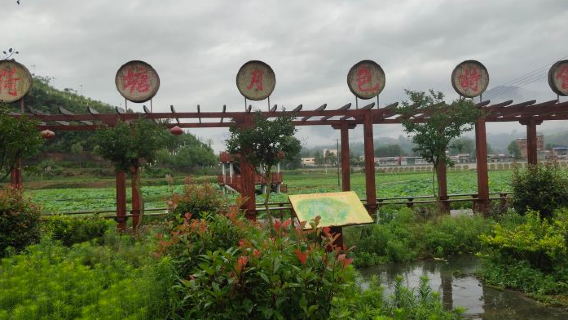 Thousand-Mu Lotus Pond Viewing Garden