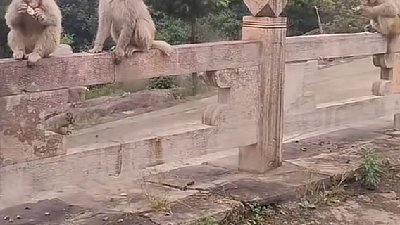 จุดชมวิวลิงหลี่ชาน