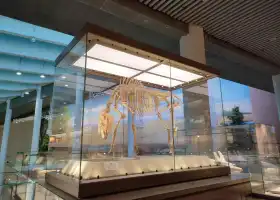 Hezheng Gudongwu Huashi Museum