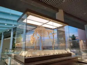 고동물 화석 박물관
