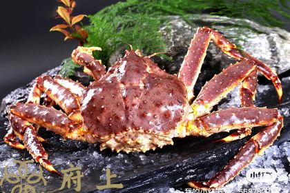 府上港式海鮮火鍋