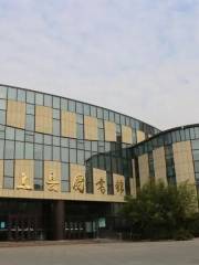 Wenshangxian Library (shizhenglu)