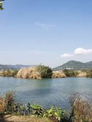 Парк водно-болотных угодий в озере Ся