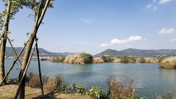 Lixianhu Wetland Park
