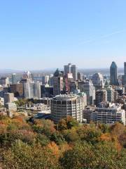 Parc du Mont-Royal