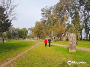 Parque Municipal Borchex